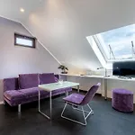 Otel Stadt Heidelberg 3*
