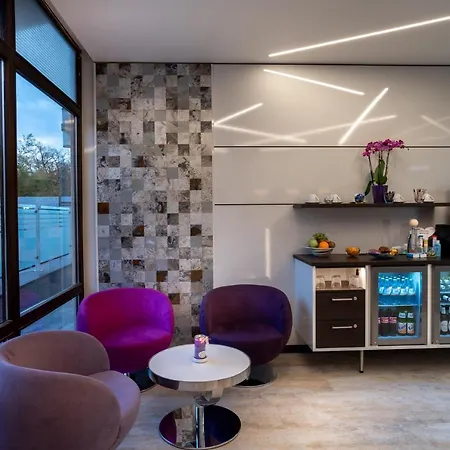 Hotel Stadt Heidelberg 3*